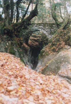 a roman bridge on the trail up to la tournette
Timothy  Chadwick
01 Dec 2003