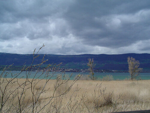 This is across from Yverdon in a park geared toward the preservation of wildlife.  It was April 2004, and still chilly.  There was snow on the mountains until just above the city levels a few days later.  Ruth Bucher and Mimi Pheulpin accompanied me that day, which may be of interest to fellow Neuchâtelois missionaries.
Peter A Ryan
26 Aug 2005