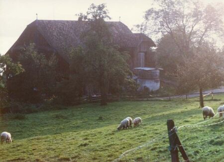 Farmhouse outside Luzern in Meggen 1981
Jeffrey Lynn Corey
29 Mar 2006