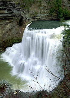 Burgess Falls, just south of Cookeville
John Turvaville
18 Dec 2001