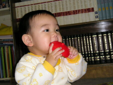 My son - 8 months
Hannah  Watabe
13 Mar 2005