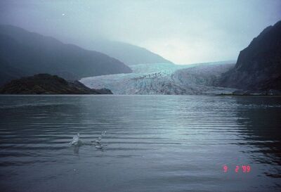 Mendenhall Glacier in Juneau
Kevin  Horn
29 Jun 2008